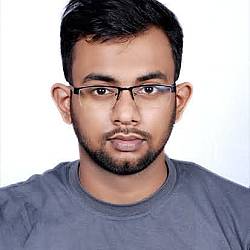 TypeScript JavaScript JSON India Frontend Developer